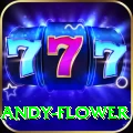 andy flower Master v5.3.3