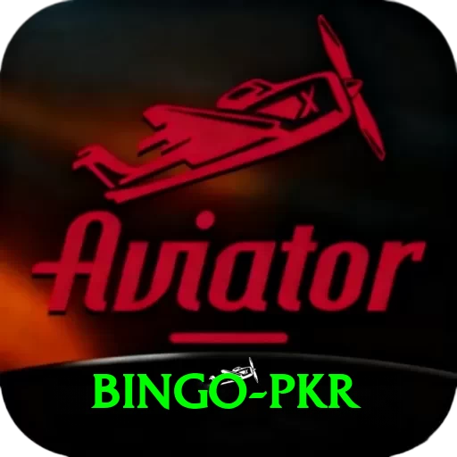 Bingo PKR Pro v3.4.8 - 2