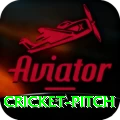 cricket pitch - Live Plus