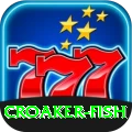 croaker fish PK Prime