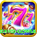 david gower Premium PK v2.3.7