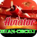 india pakistan cricket Game Master v1.5.3