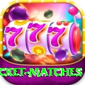 india upcoming cricket matches Gaming Royal v1.6.3