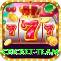 new zealand cricket team Cash Champion