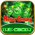 test cricket Slot Machine King
