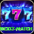 to day cricket match Slots Premium v5.9.9